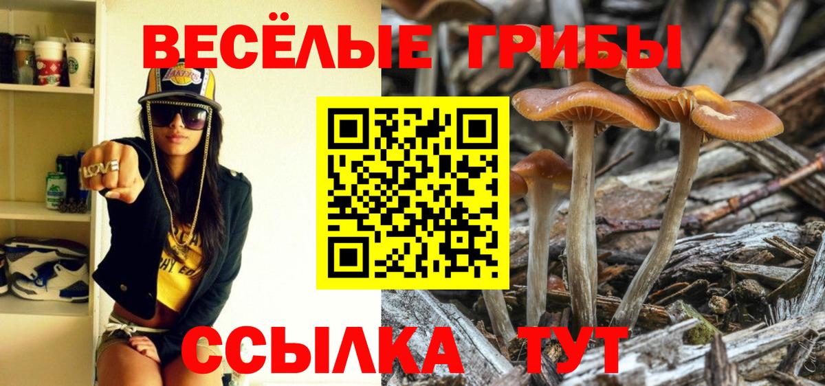 Псилоцибиновые грибы ЛСД  Псилоцибиновые грибы Cubensis  Берёзовский  Вход с VPN 